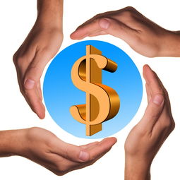 开云体育ios-体育教学中增强现实与虚拟现实融合应用，结合教学实践谈谈示范在体育教学中的运用